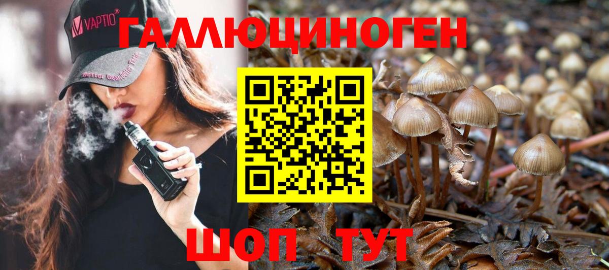 Галлюциногенные грибы MAGIC MUSHROOMS  Вход с VPN  Нижнекамск 